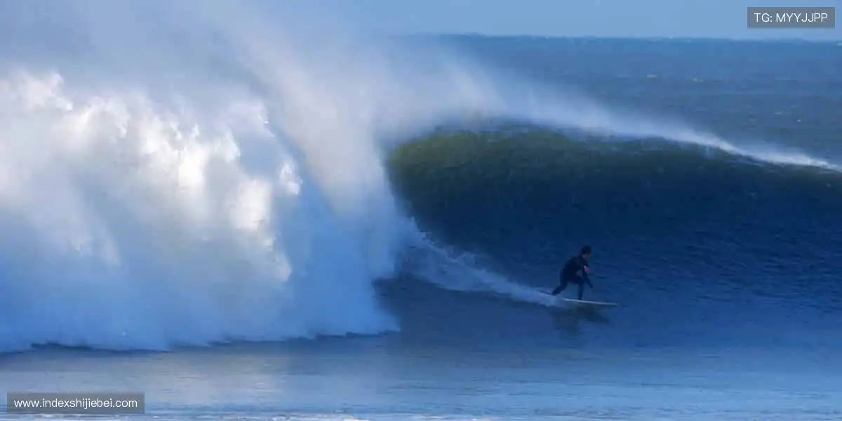 👟 潮流装备，让运动更有态度！